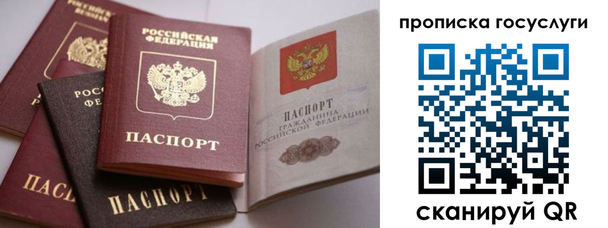прописка штамп в Волгодонске